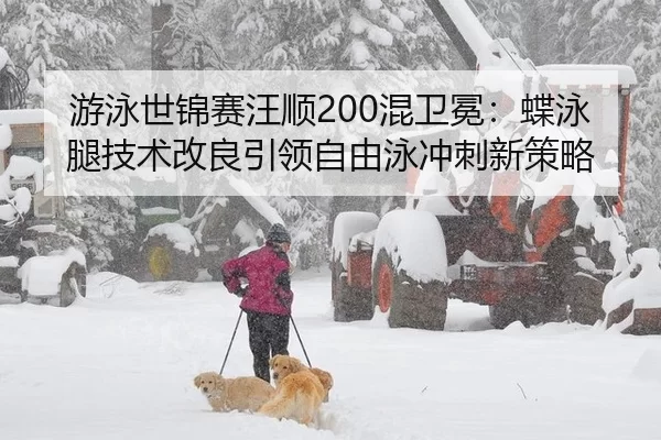 游泳世锦赛汪顺200混卫冕：蝶泳腿技术改良引领自由泳冲刺新策略